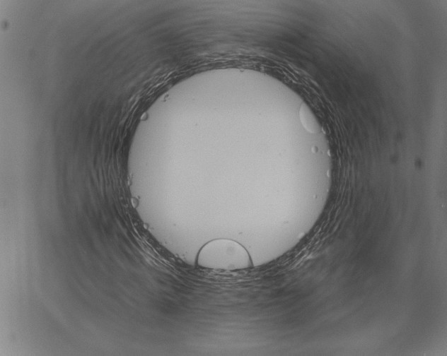 X0000066080820200604071729