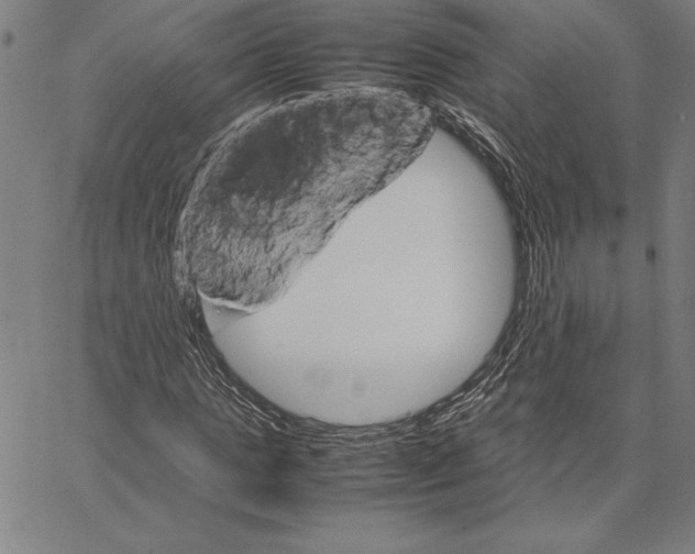 X0000066080821200604071729