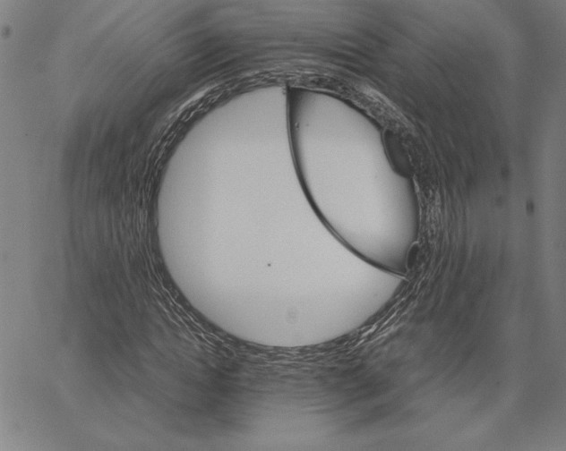 X0000066080822200604071729