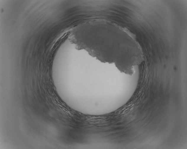 X0000066080823200604071729