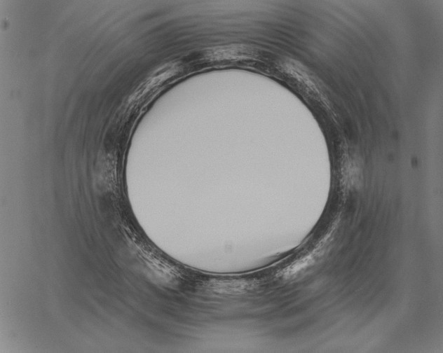 X0000066080825200604071729