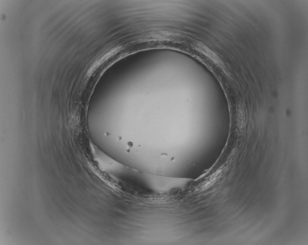 X0000066080826200604071729