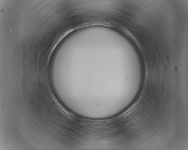 X0000066080828200604071729