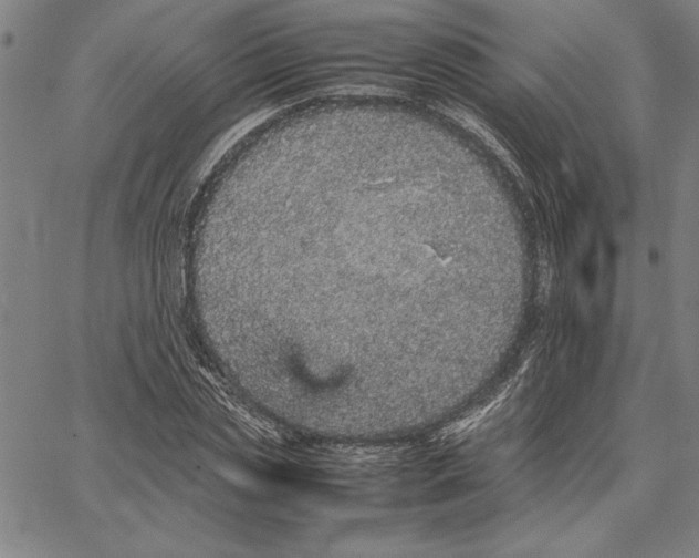 X0000066080829200604071730