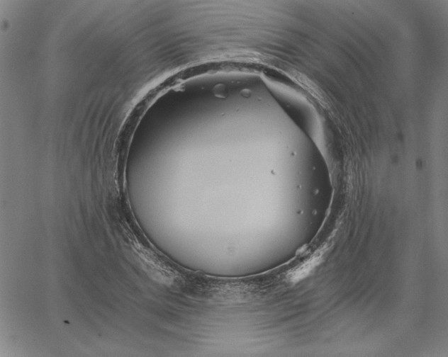 X0000066080830200604071730