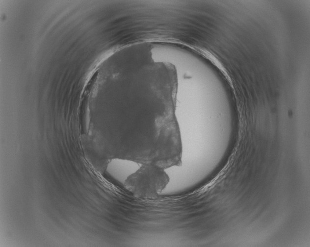 X0000066080831200604071730