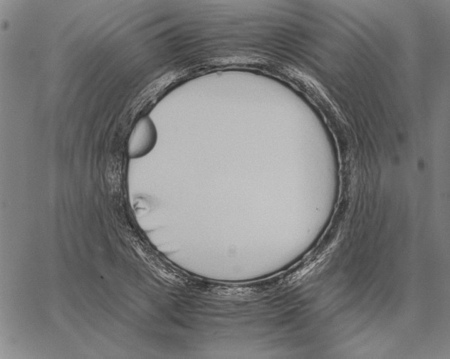 X0000066080833200604071730