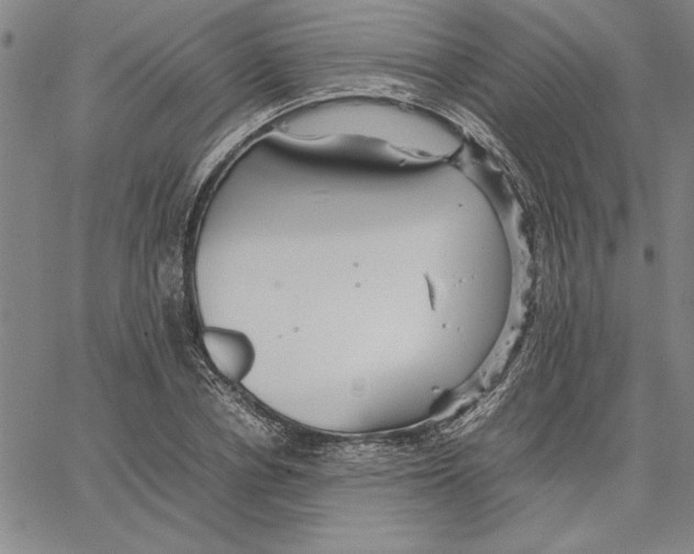 X0000066080834200604071730