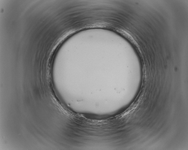 X0000066080835200604071730