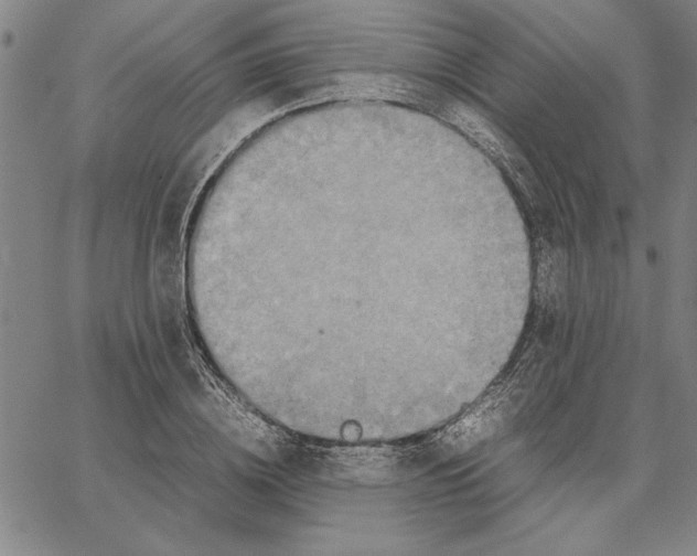 X0000066080836200604071730