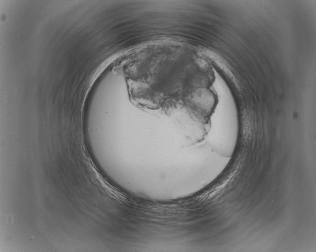 X0000066080837200604071730