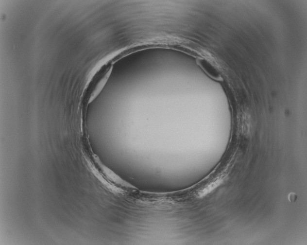 X0000066080838200604071730