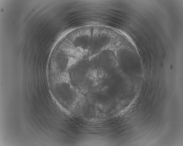 X0000066080839200604071730