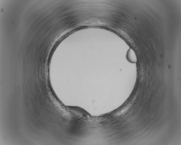 X0000066080840200604071730