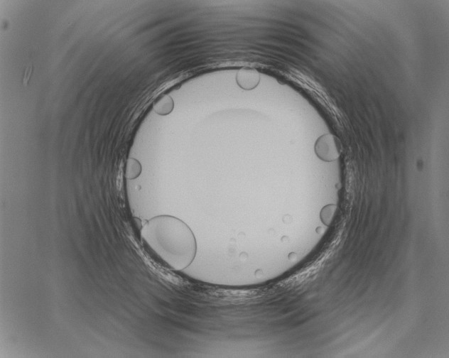 X0000066080841200604071730