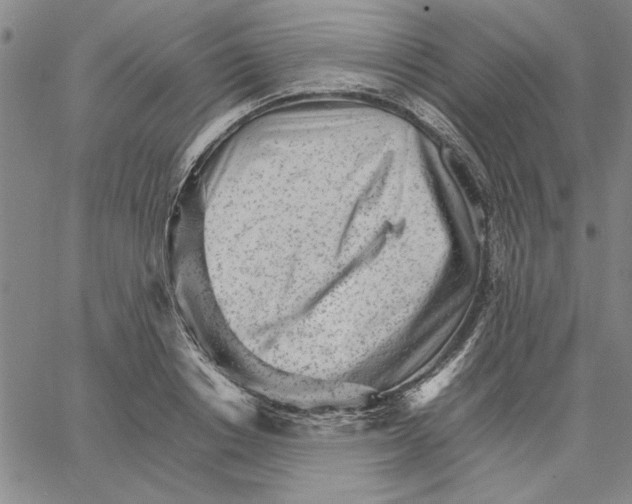 X0000066080842200604071730