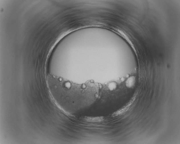 X0000066080843200604071730