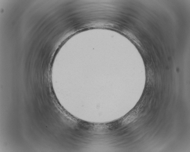 X0000066080848200604071730