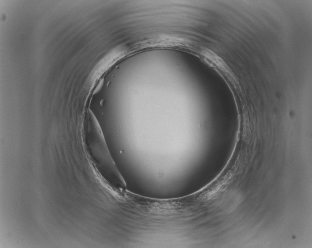 X0000066080850200604071730