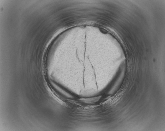 X0000066080851200604071730