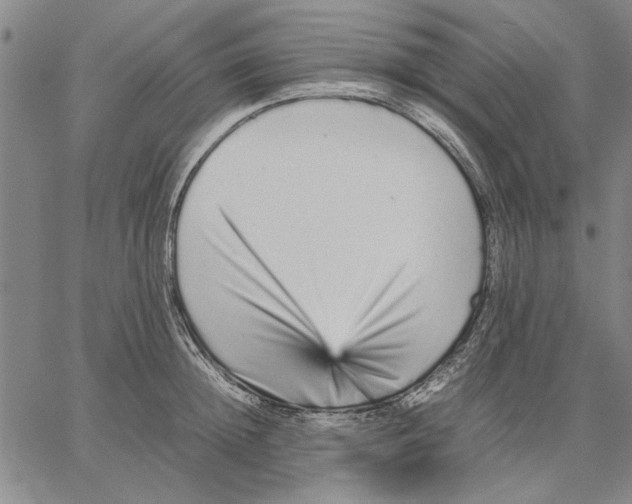 X0000066080852200604071730