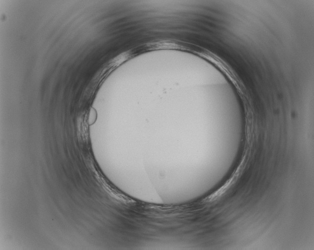 X0000066080857200604071730