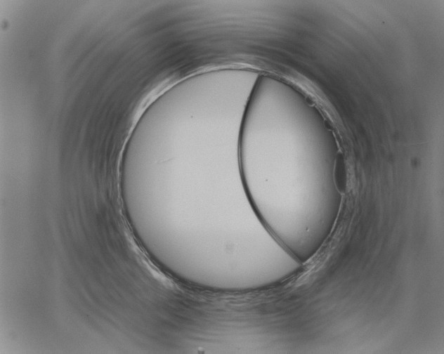 X0000066080858200604071730