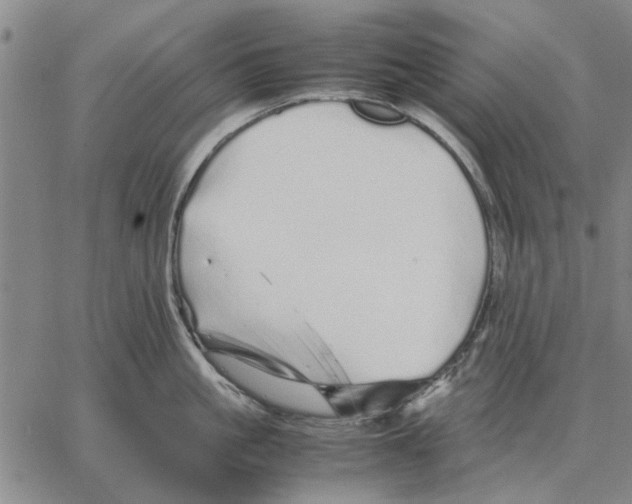 X0000066080861200604071730