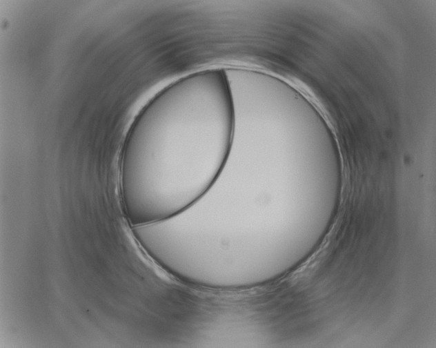 X0000066080862200604071730