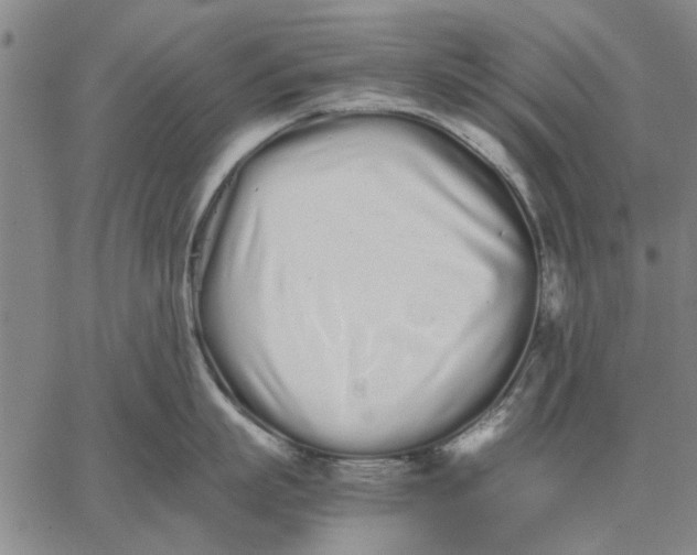 X0000066080863200604071730