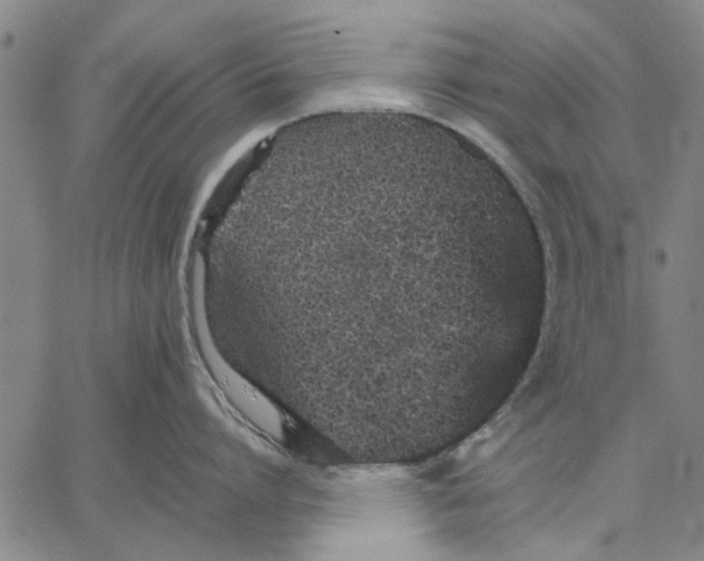 X0000066080864200604071730