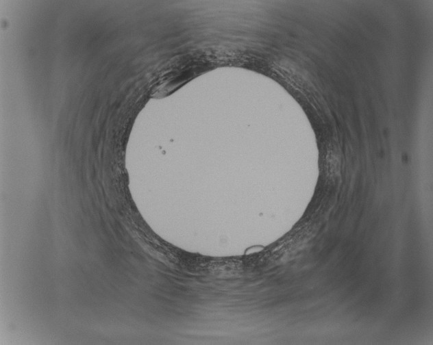 X0000066080865200604071729