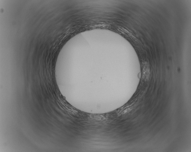 X0000066080866200604071729