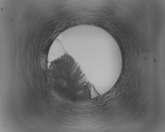 X0000066080867200604071729