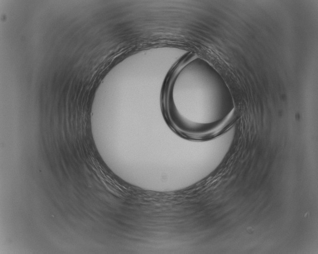 X0000066080868200604071729