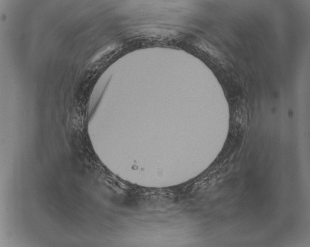 X0000066080869200604071729