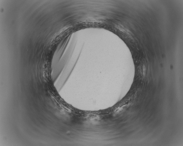 X0000066080870200604071729