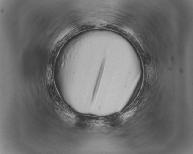 X0000066080871200604071729