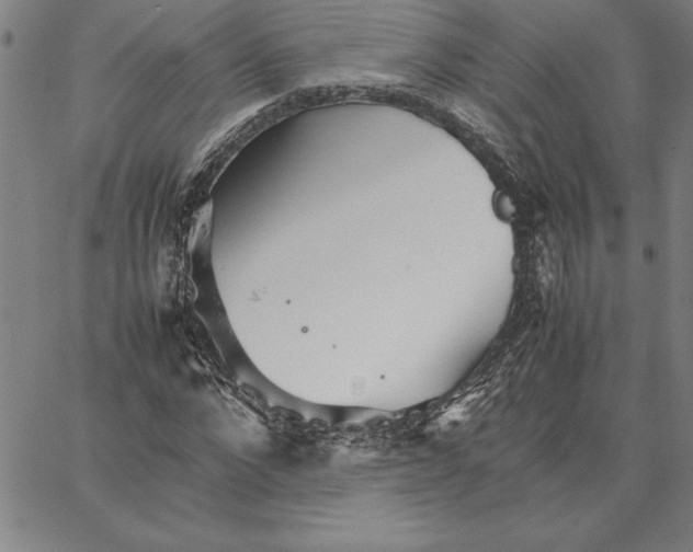 X0000066080872200604071729