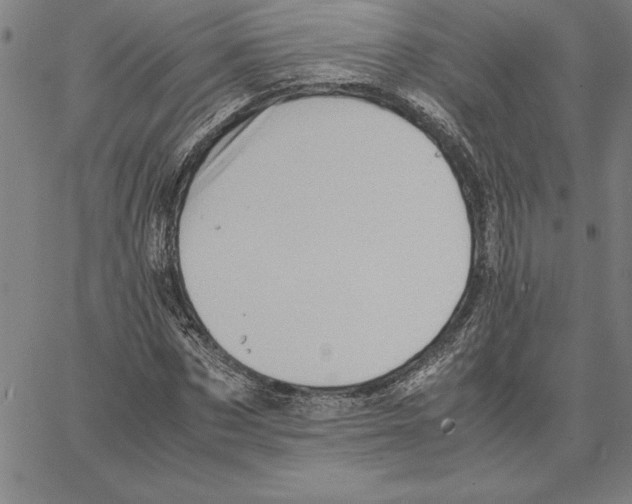 X0000066080873200604071729