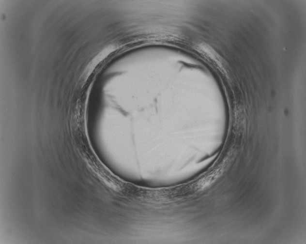 X0000066080875200604071729