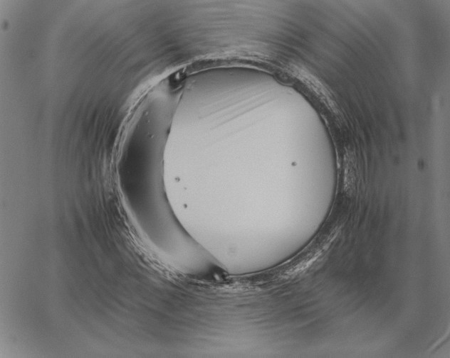 X0000066080876200604071729