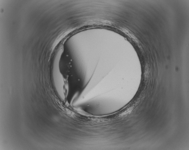 X0000066080877200604071729