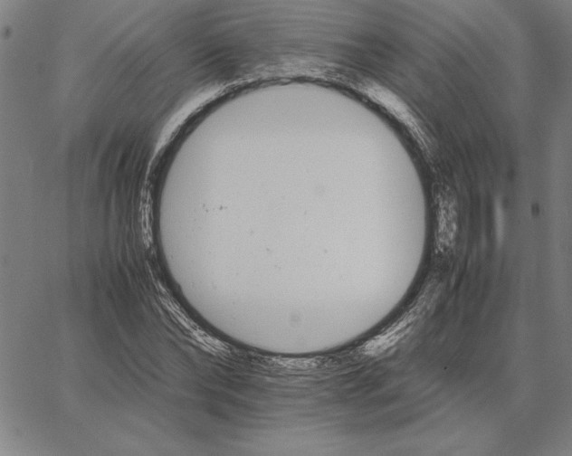 X0000066080878200604071729