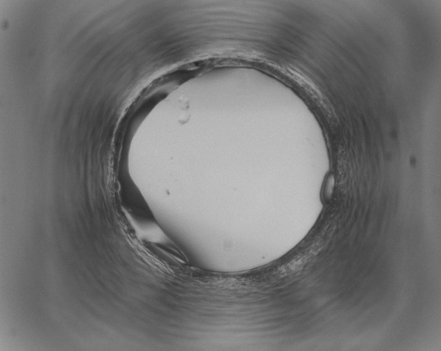 X0000066080880200604071729