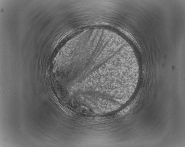 X0000066080881200604071729