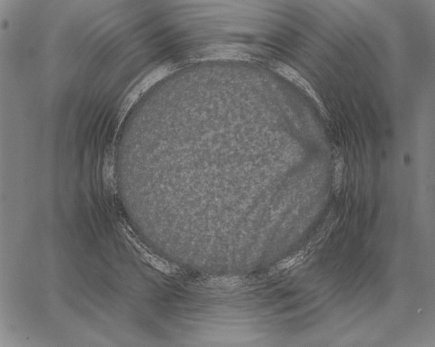 X0000066080882200604071729