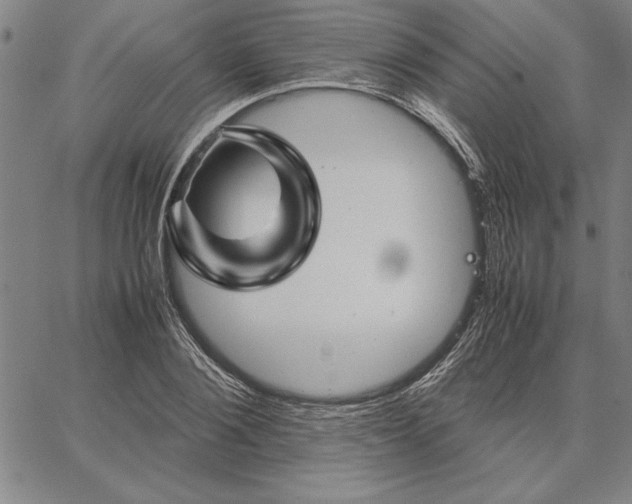 X0000066080884200604071729