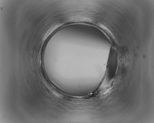 X0000066080885200604071729