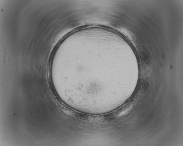 X0000066080887200604071729